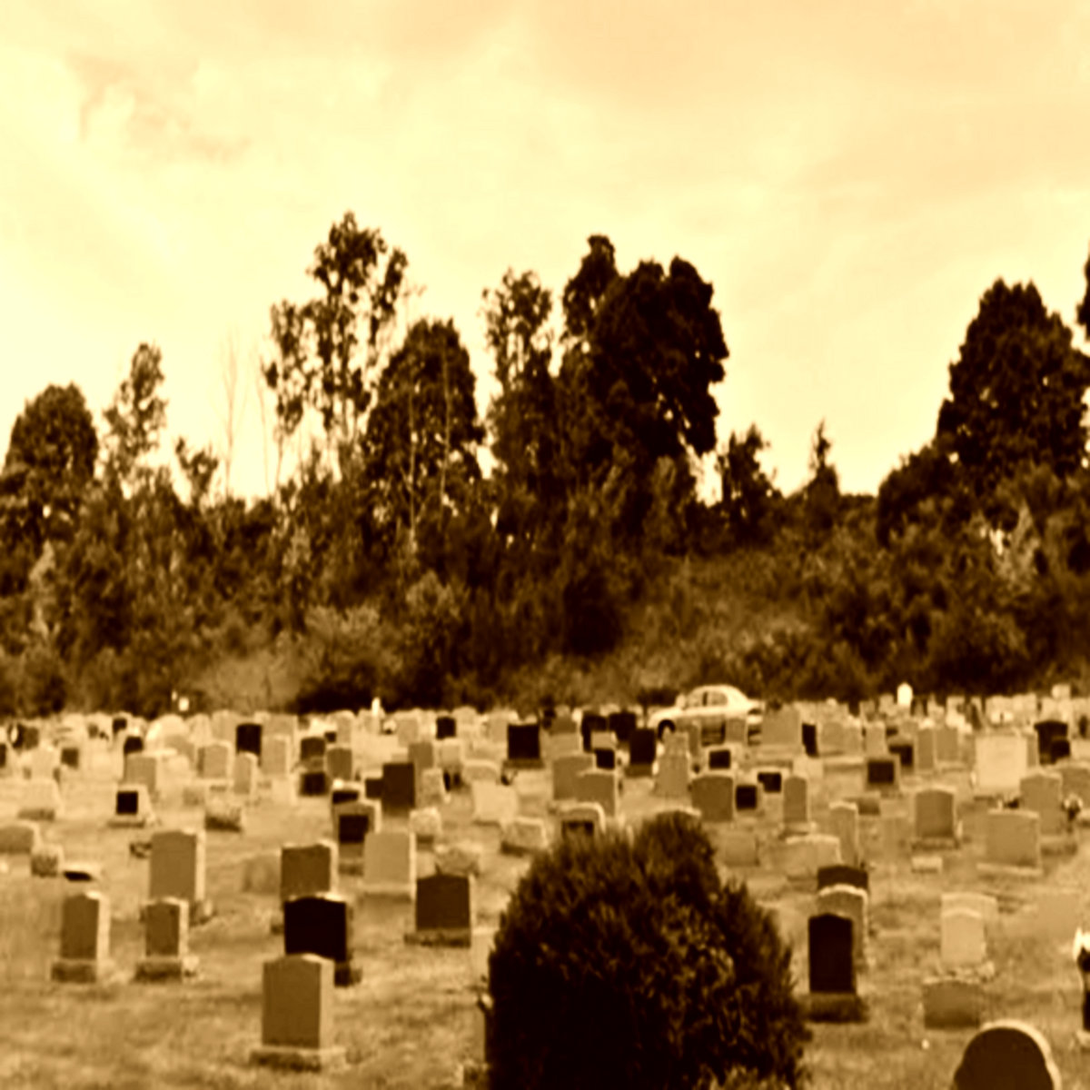 Children of Nephilim