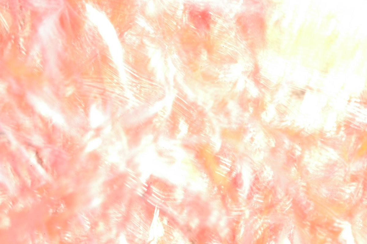 Extrasensory Perception