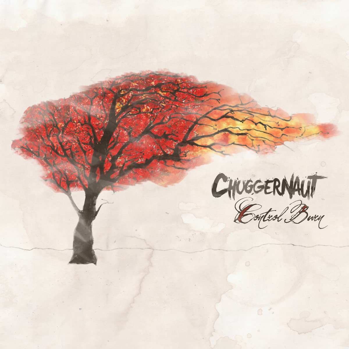 Control Burn - Single