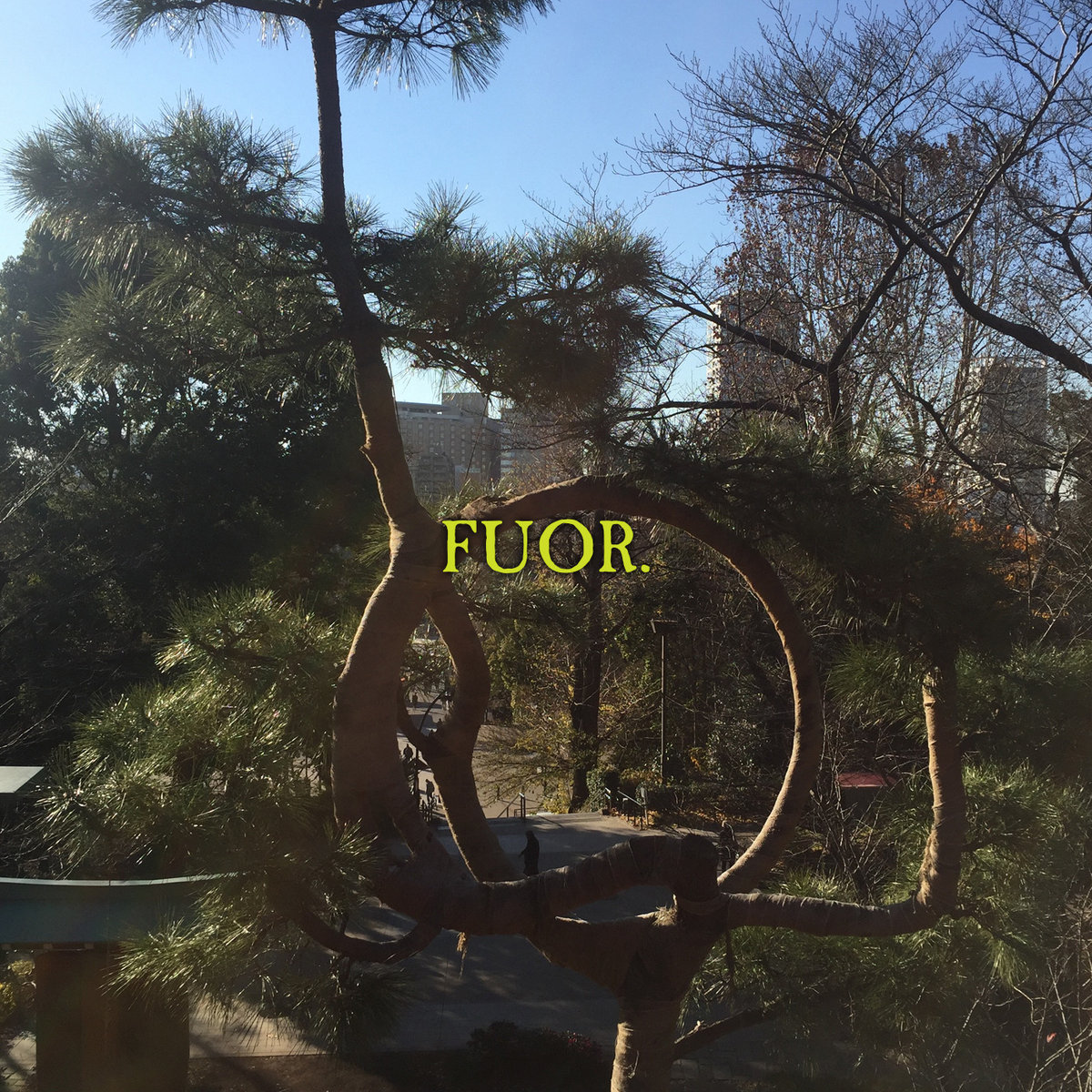 Transfixed/Devotion ep