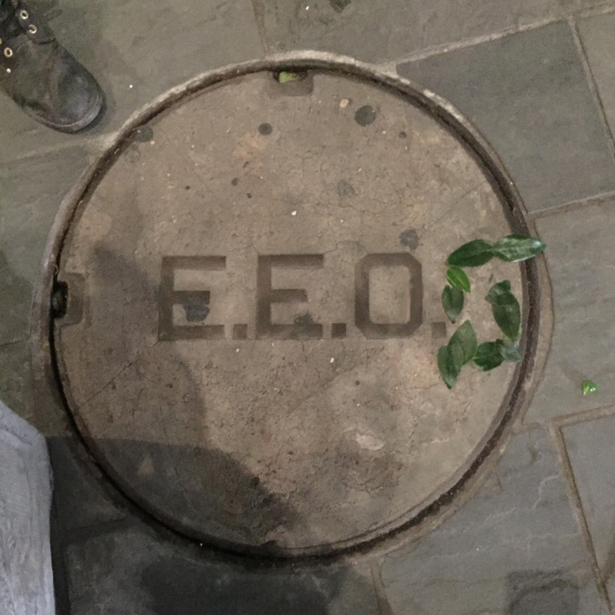 E.E.O.G. - Live In New Orleans