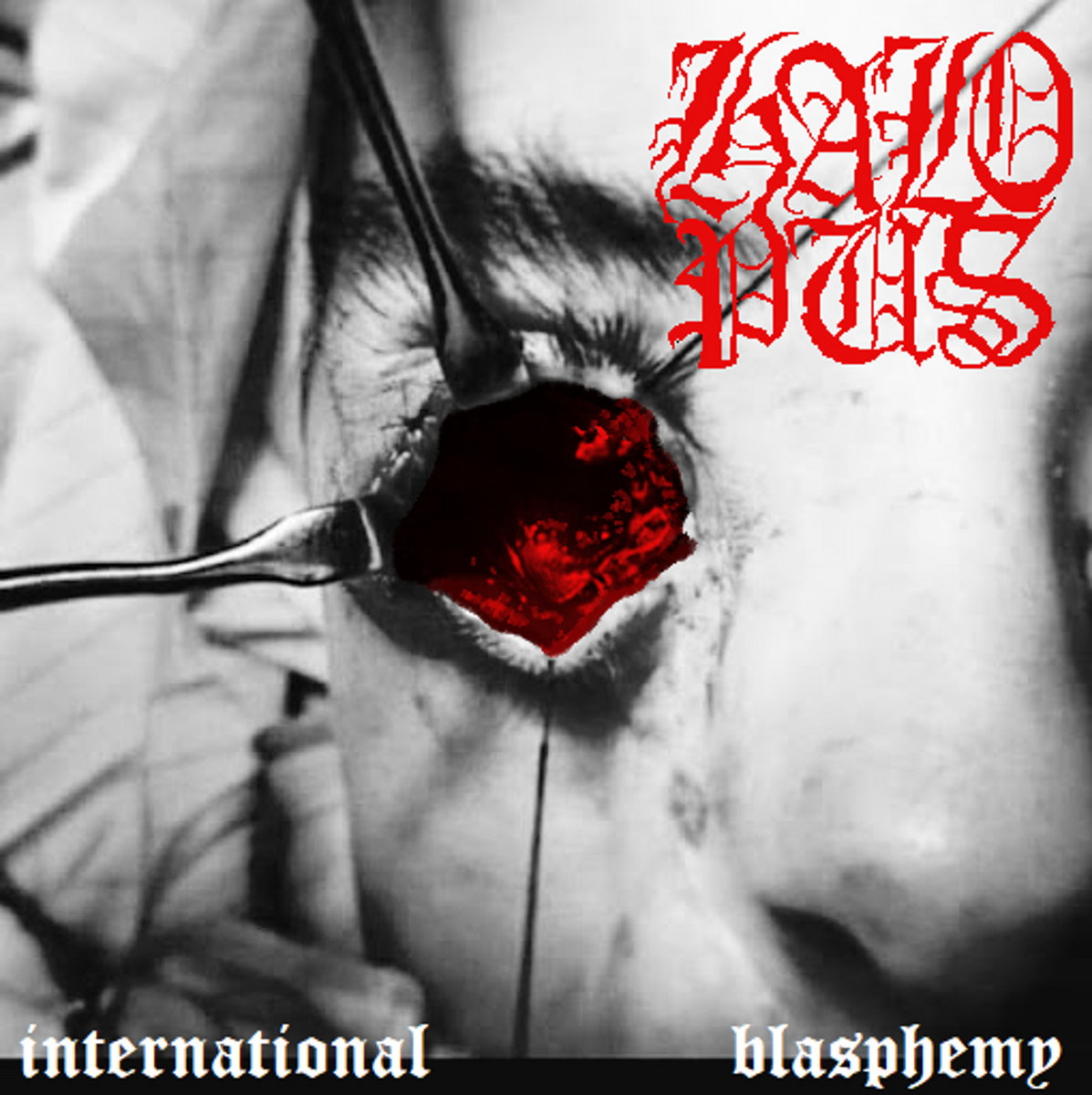 International Blasphemy