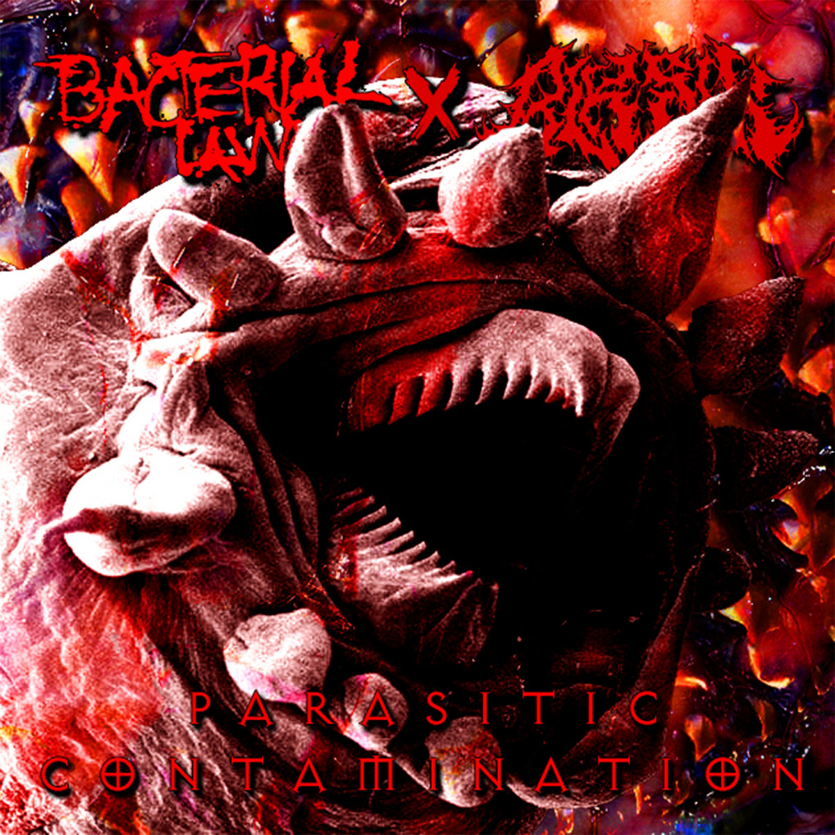 Parasitic Contamination (Single)
