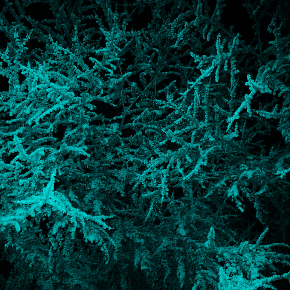 Thee ! Old Feeling Machine