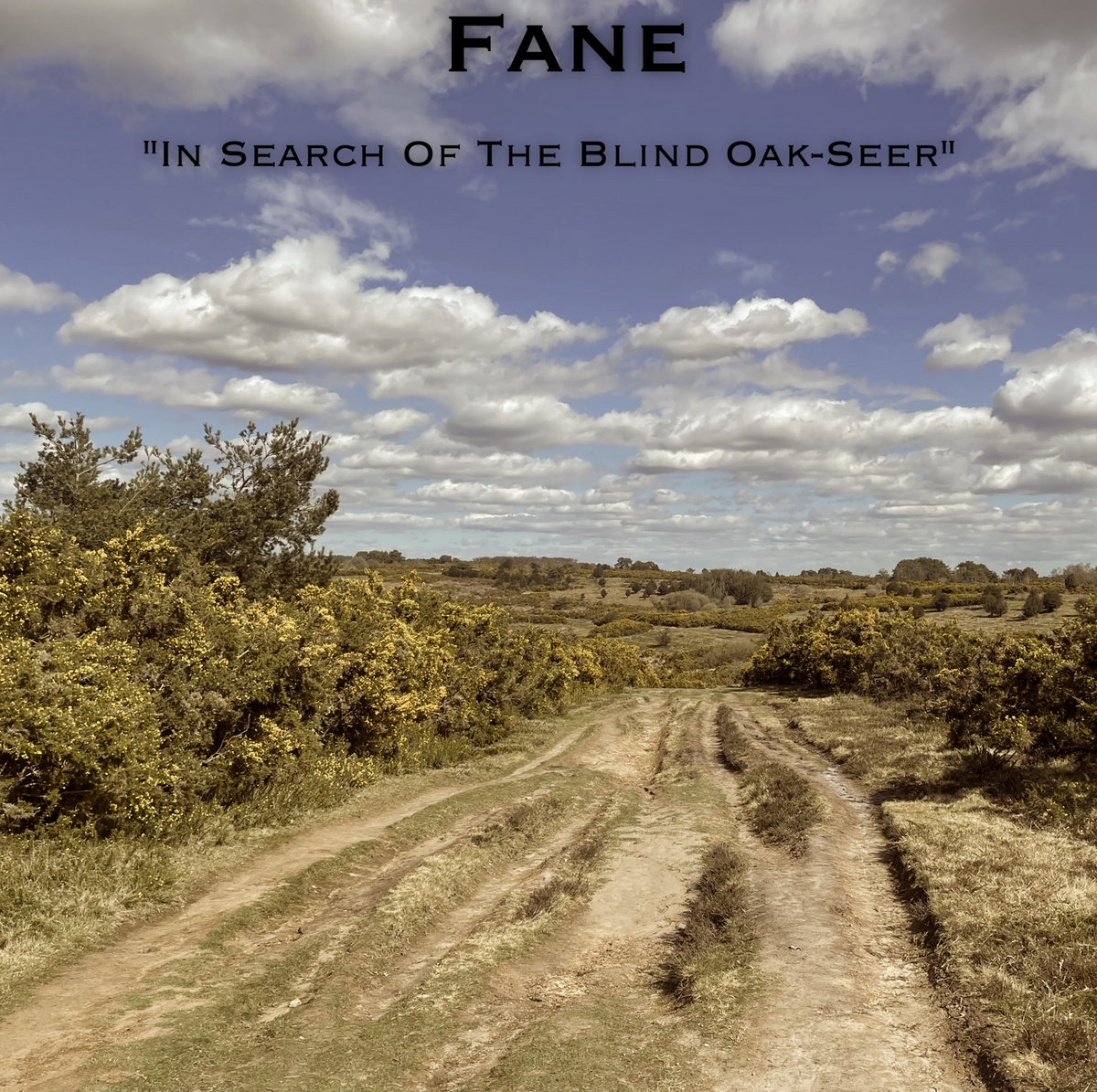 In Search Of The Blind Oak-Seer