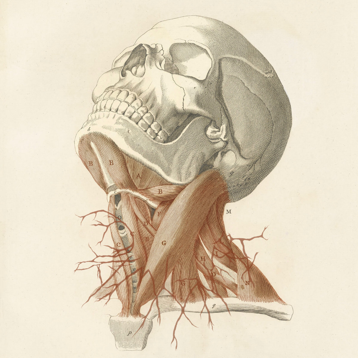 German Girl (The Paradise Motel Cover)