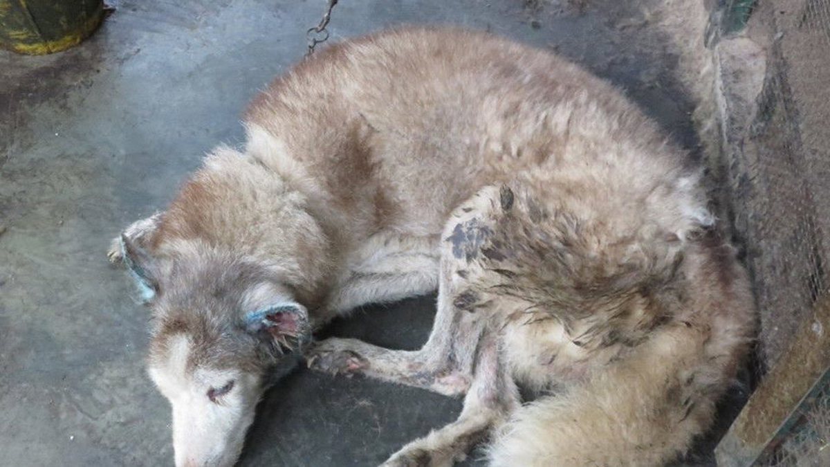 Erotic Black Tar Bath Time