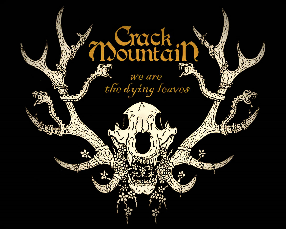 We are the Dying Leaves (Live at Bomberger Construction Records)