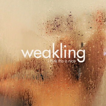 i think this is nice