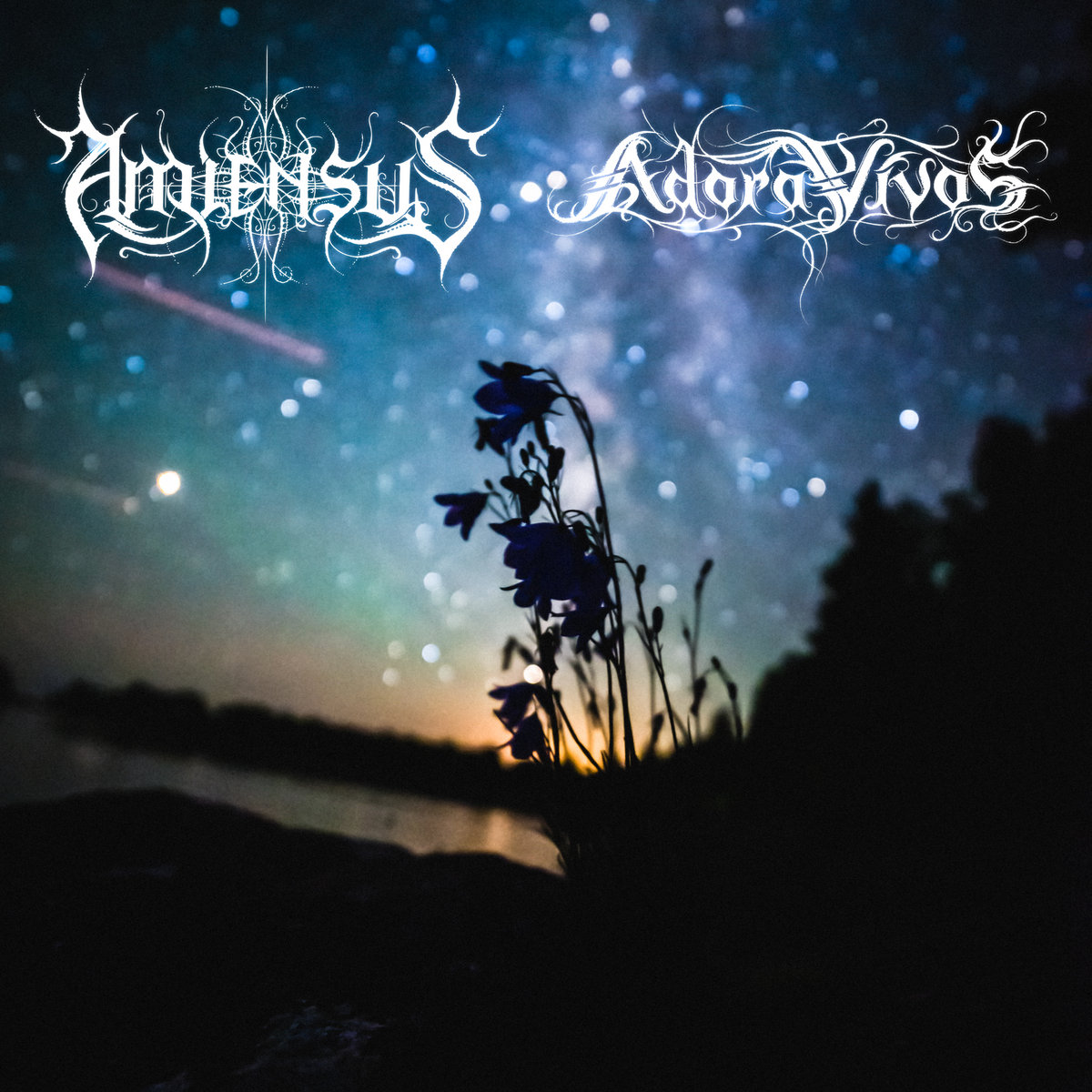 Adora Vivos / Amiensus 2020 Split