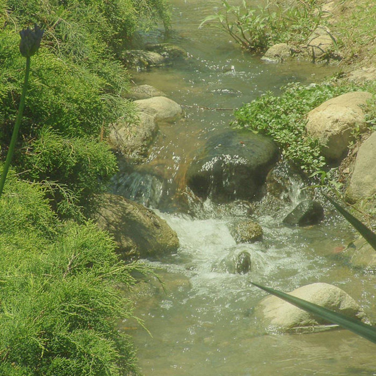 The World We Live in