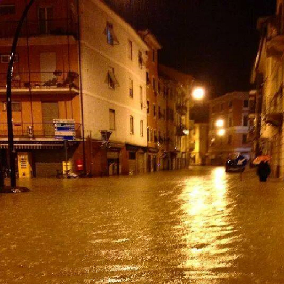 Split w/ 800,000 Bees