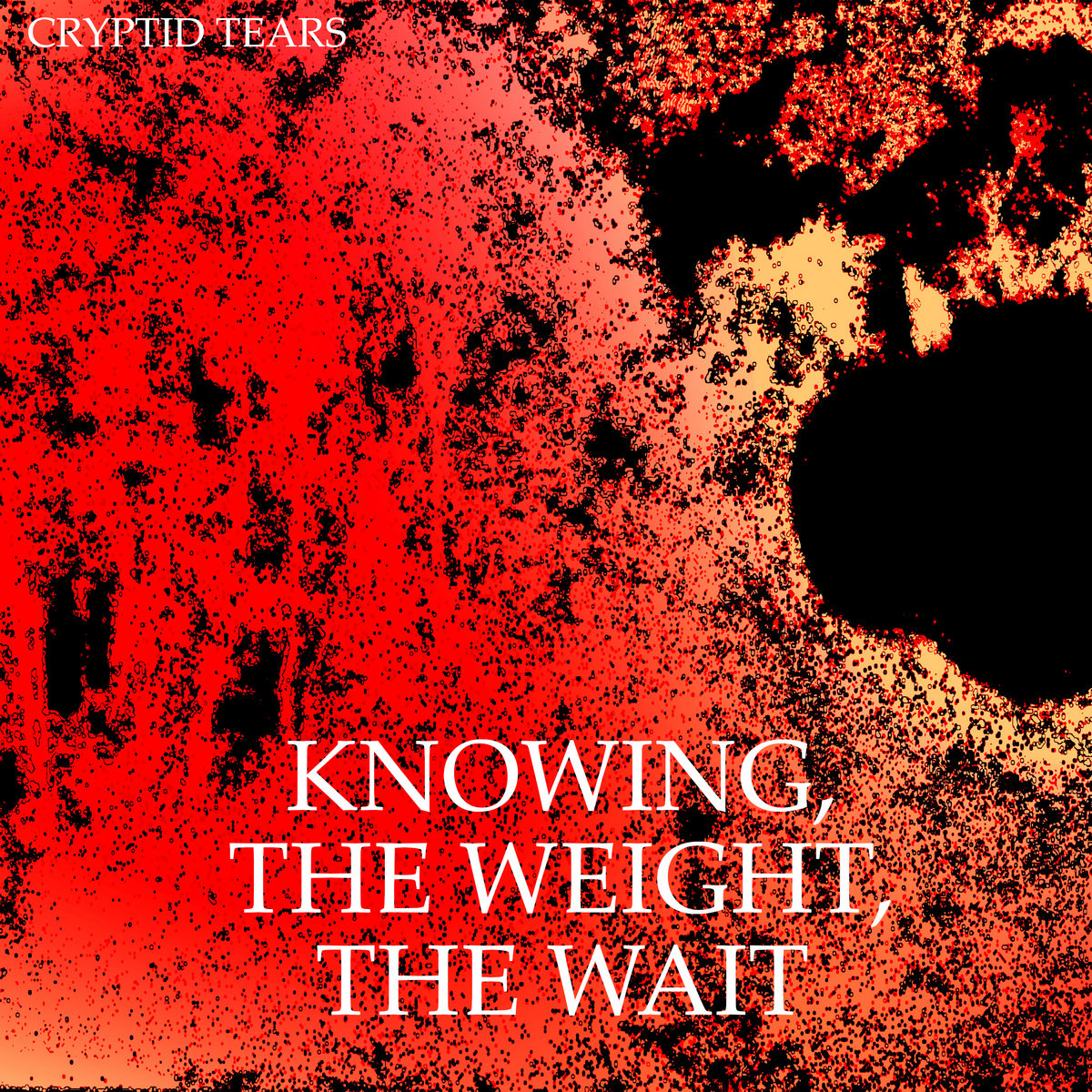 Knowing, The Weight, The Wait