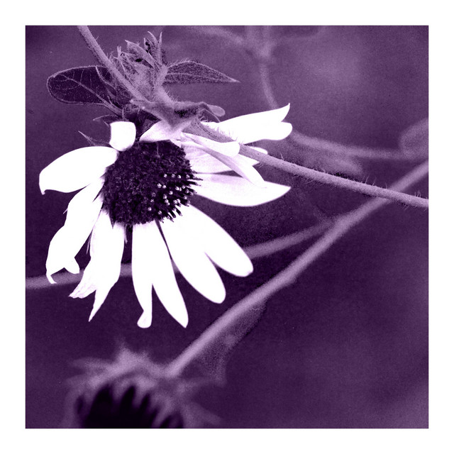 III / IV (Tape Remaster)