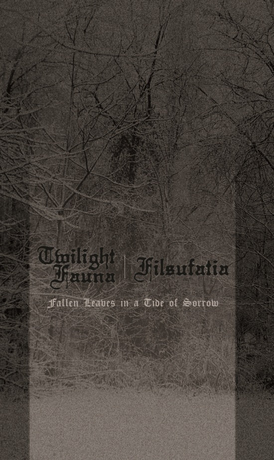 Fallen Leaves in a Tide of Sorrow (Twilight Fauna/Filsufatia Split)