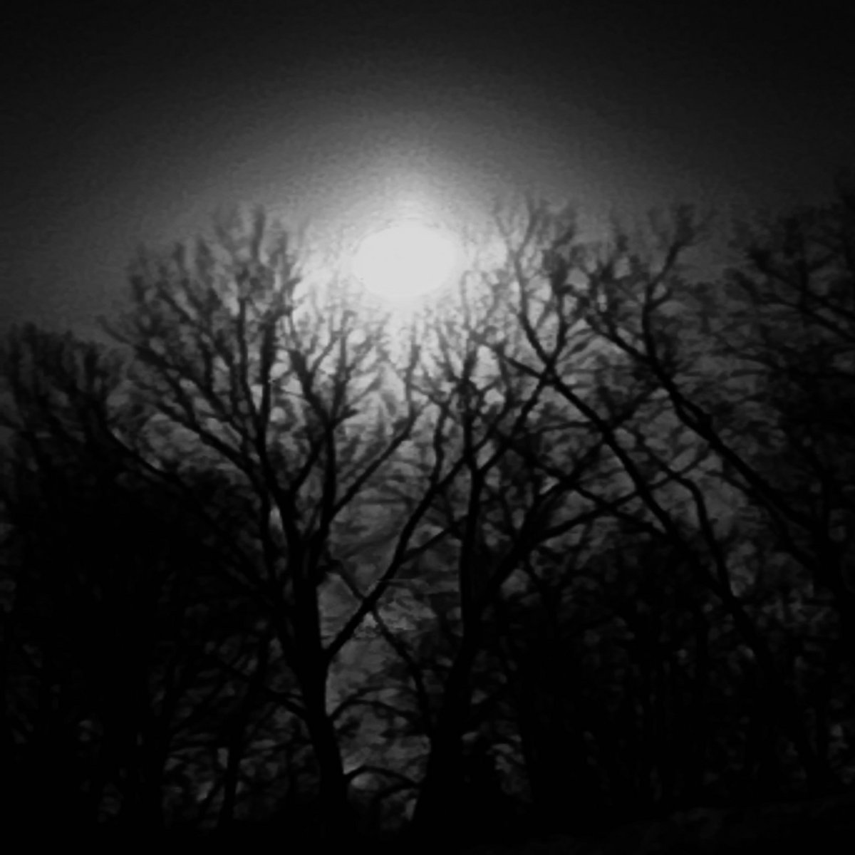 Sprawling Landscapes Deprived Of Life