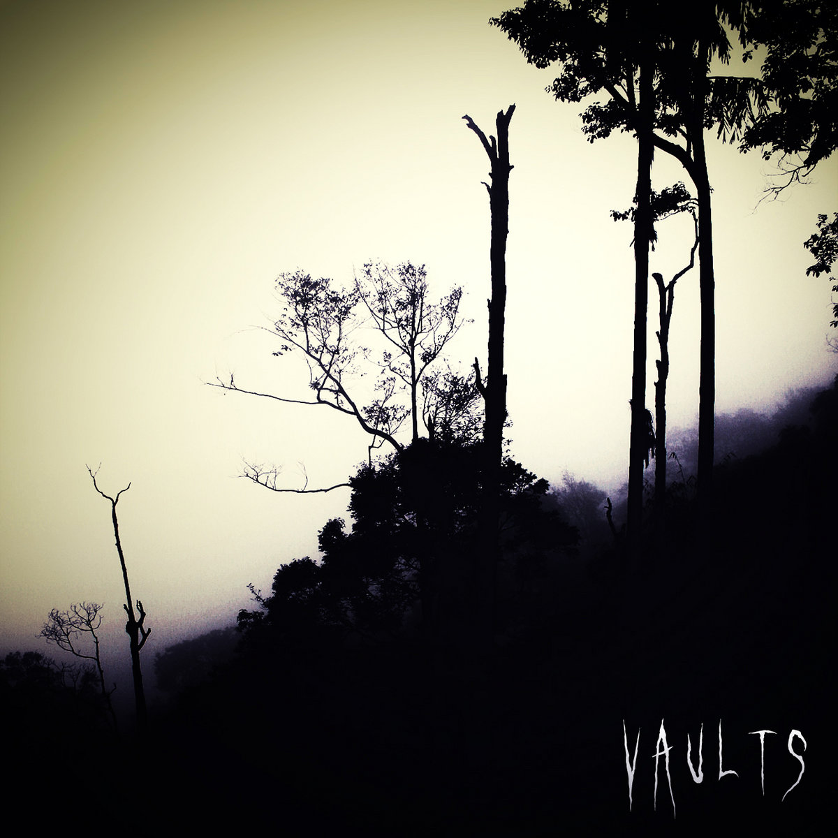 Vaults EP