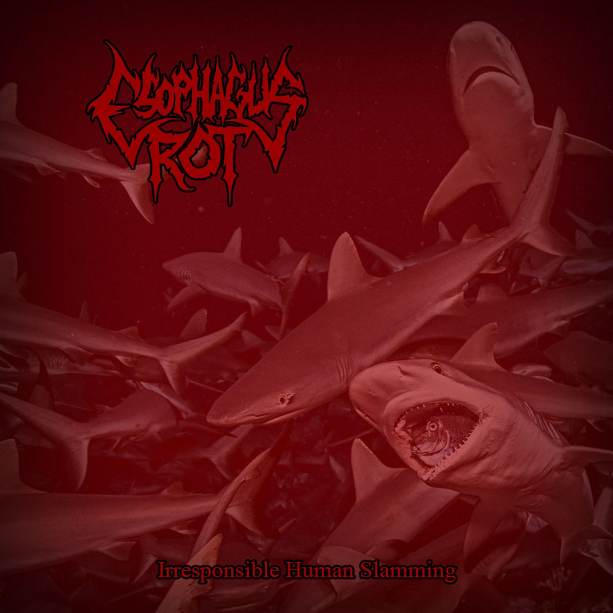 Irresponsible Human Slamming Demo