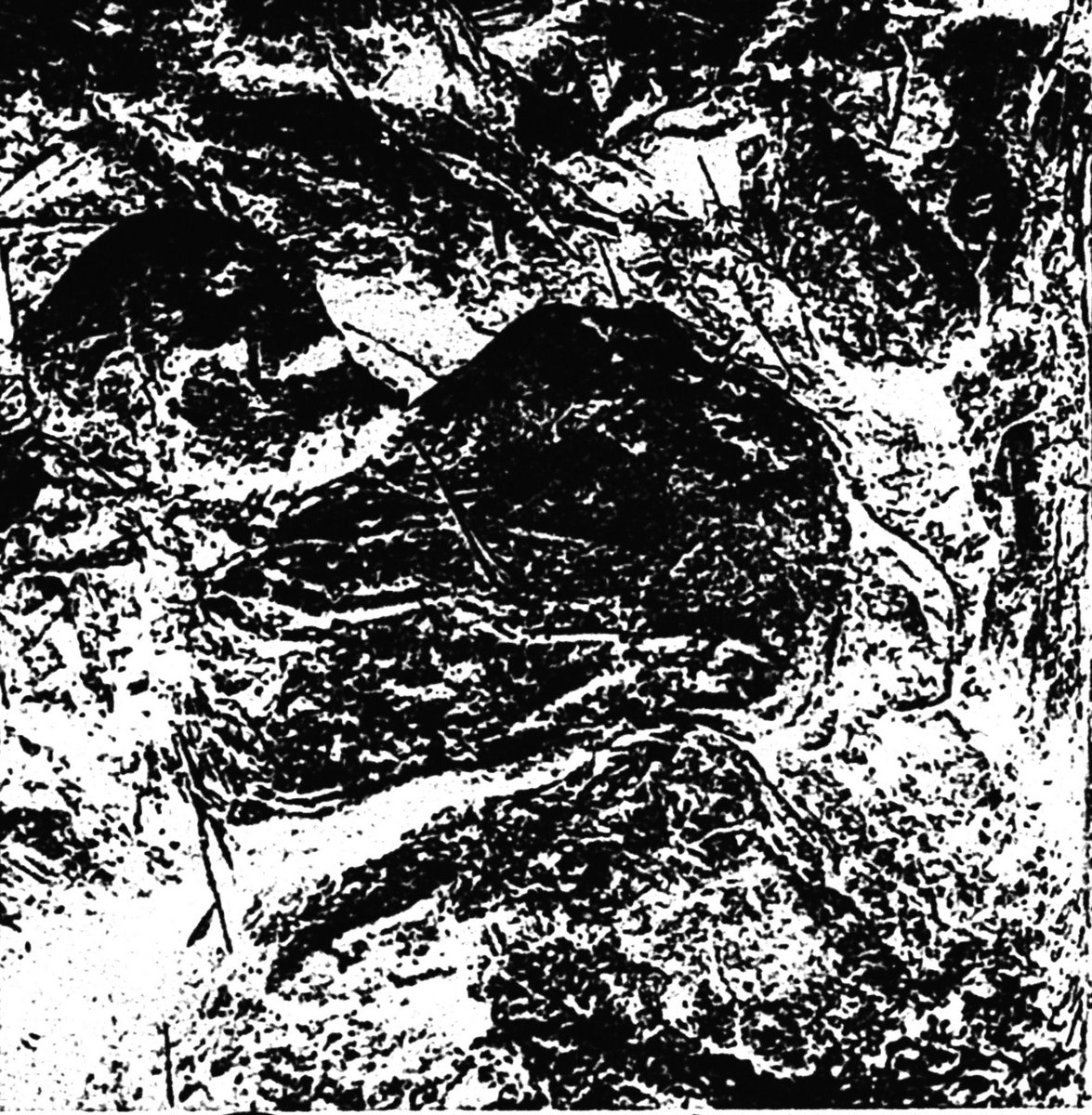 Cruel (MODEBIONICS Remix)