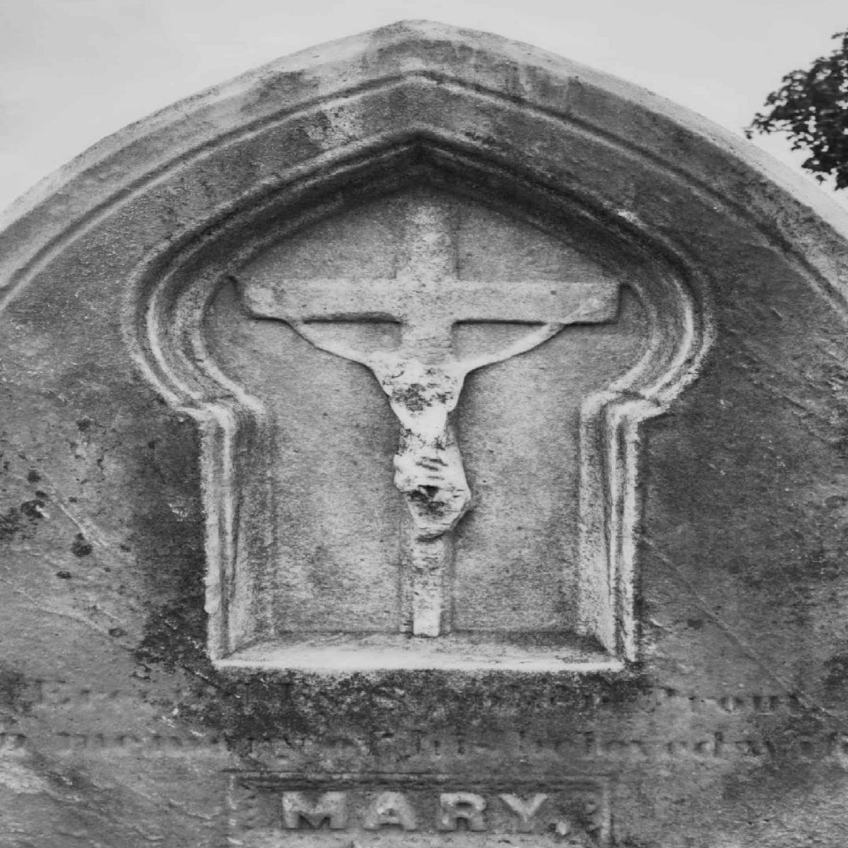 Cruentation/Witch Tomb split