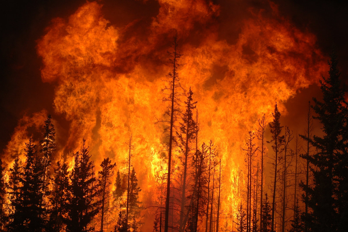 Devastation from Beyond the Vampyric Undead