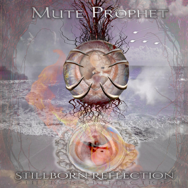 Stillborn Reflection (Definitive Edition)