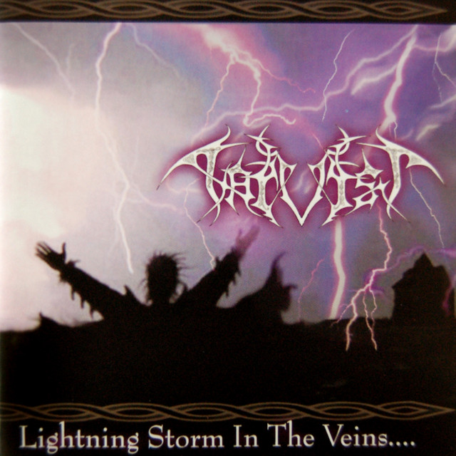 Lightning Storm in the Veins‚Ä¶
