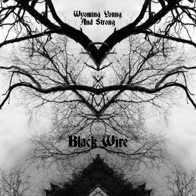 Black Wire