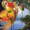 A Morphology of Wonders
