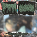Perforated Demise