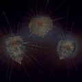 Seeds of the Dead