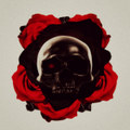 Avarice-Amore