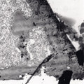 Fragmented Structures EP