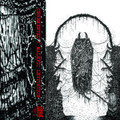 Split with MALEFIC LEVITATION