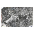 Feral Spirits