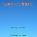 Bootlegs EP 2011
