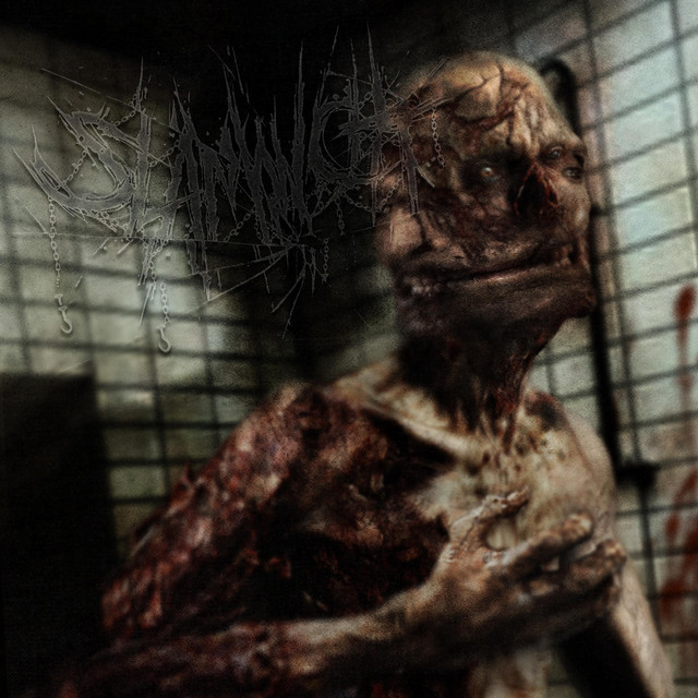 Skinned and Refleshed