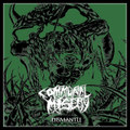 DISMANTLE