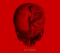 [Exit Wounds]