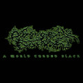 A World Turned Black