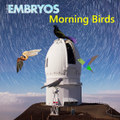 Morning Birds