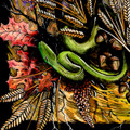 Litha Rising (Bandcamp Exclusive Single)