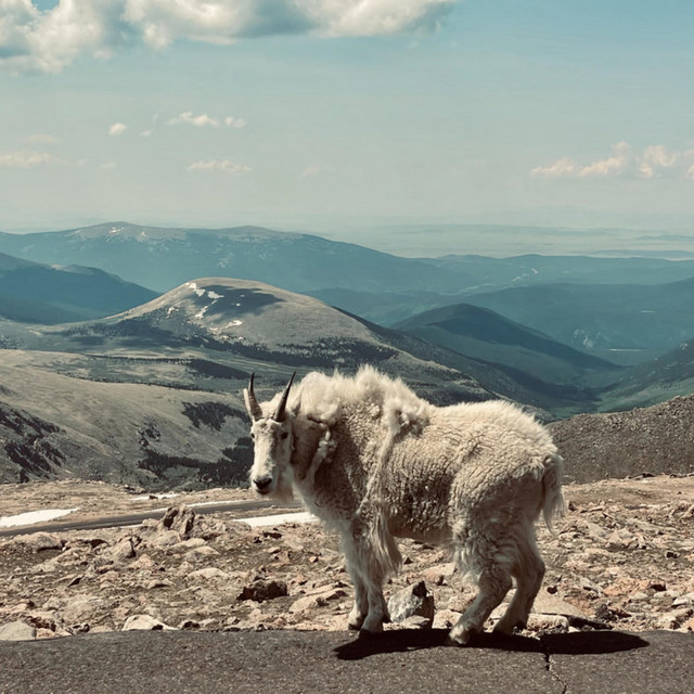 Mountain Song