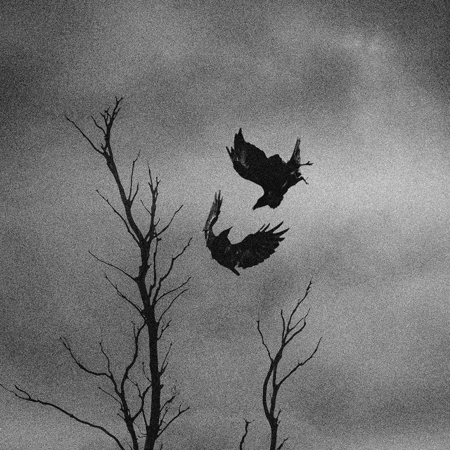 (Become) Carrion
