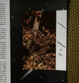Fragment of Hiss (bonus LP)