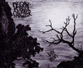 Black Dream