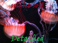 Detached