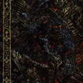 Split with THECODONTION