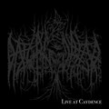 Live at Caydence
