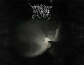 Irradiated Wound of Existence